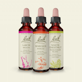 Bach Flower Therapy with Sarah Rose Glazer