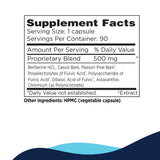 GCO - Gluco Optimizer - CellCore