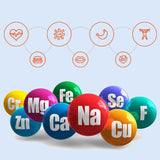 Intracellular Micronutrient test