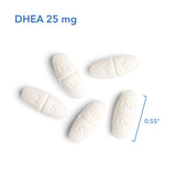 DHEA 25 mg Micronized Lipid Matrix