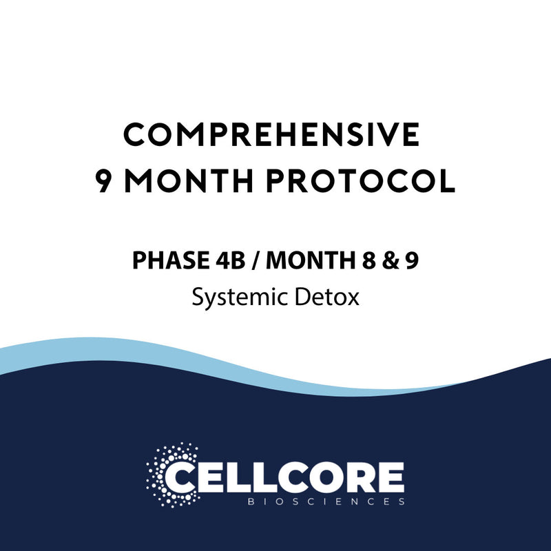 CellCore Comprehensive Protocol Phase 4b